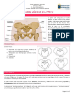 Aspectos Médicos Del Parto