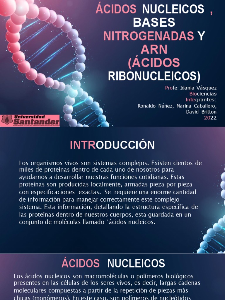 Estructura y Función de Ácidos Nucleicos | PDF | Rna | Ácidos nucleicos