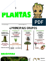 PLANTAS