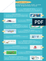 Infografia de Cuales Son Las Características de Un Buen Proyecto