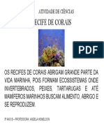 Atividade de Ciências Recife de Corais