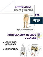 Artrología - MMII - Cadera - Rodilla