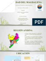 Region Andina 2