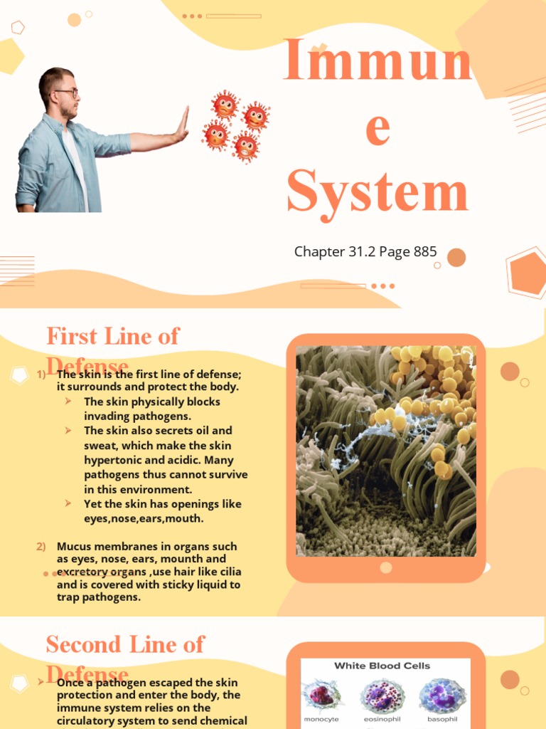 Basophils and Inflammation Response | PDF | Immune System | White Blood ...