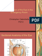 Examination of The Eye in The Emergency Room: Christopher Calandrella D.O - Pgy2