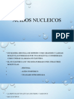 Diapositivas Acidos Nucleicos