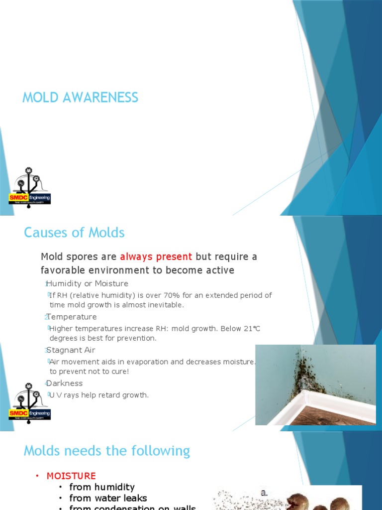 Mold Prevention The Temperature Threshold You Need To Know - n6ygxn9