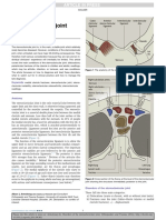 Disorders of The Sternoclavicular Joint: Soulder