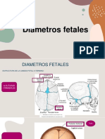 Diametros Fetales