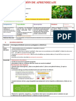 Plantas Nativas Segundo Grado