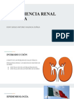 Insuficiencia Renal Crónica