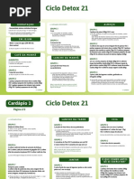 Ciclio Detox Melissa