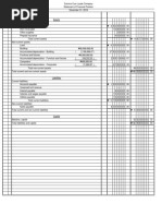 Summa Cum Laude Company Financial Position