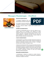 Site - Massagem Bambuterapia Detalhada