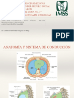 Anatomia Del Sistema de Conduccion Del Corazon Bradicardias y Bloqueos