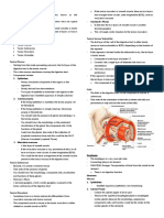 Gastrointestinal Tract