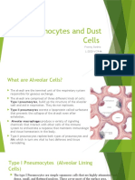 Pneumocytes and Dust Cells