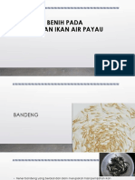 Pertemuan V - Pemilihan Dan Penebaran Benih Pada Budidaya Air Payau