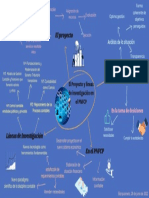 3.mapa Mental Proyecto en en PNFCP