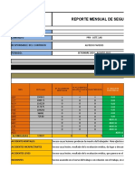 Reporte Mensual SSOMA - PPN LT 1ab