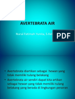 Avertebrata Airp1