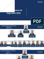 Organigrama de Seguridad Actual