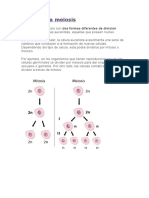 Mitosis y La Meiosis