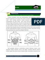 Abdomen