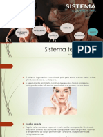 Sistema tegumentar: funções da pele e seus anexos