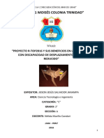 Proyecto R-Top 2016 Terminado