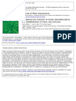 Infección Por Agrobacterium Del Cáñamo Cannabis Sativa L. Establecimiento de Cultivos de Raíces Peludas