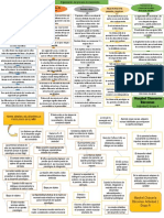 Organización Del Proceso de Crecimiento