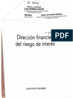 Direccion Financiera Del Riesgo de Interes
