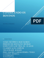 Aula 2 - Parte 1 - Conhecendo Os Bovinos