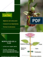 Tema 9a. La Flor