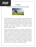 RIU Fedna | PDF | Calcio | Fibra dietética