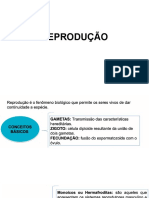 ReproduçãoContinuação