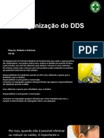 Organização Do DDS