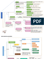 Mapa conceptual del sistema nervioso