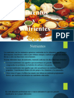 Nutrientes y alimentos: clasificación y funciones