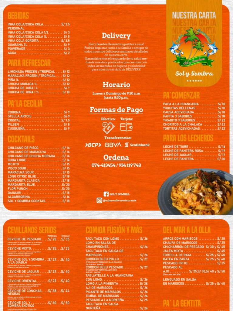 Carta 1 Sol y Sombra PDF