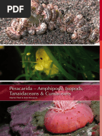Journal of Systematics and Evolution | PDF | Fern | Biodiversity