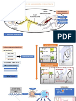 NEUROCOVID- SGB