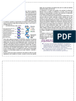 LECTURA 3 3 - 4° CyT - EXP 1 - SEMANA 3