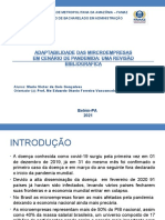 Adaptabilidade Das Micro Empresas em Cenario de Pandemia 2