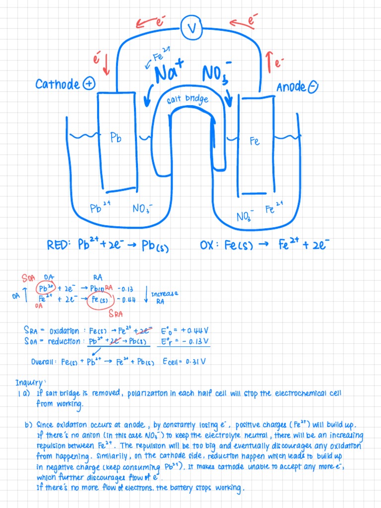 Electrochemical Cell Lab PDF Redox Electrochemistry