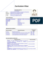 Curriculum Vitae Gerencia