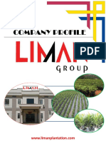 1 - Liman GROUP Profile