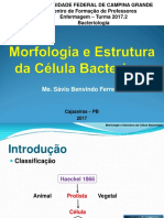 Morfologia e Estrutura da célular bacteriana (1)