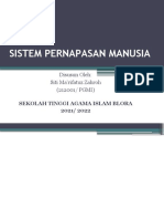 Sistem Pernapasan Manusia